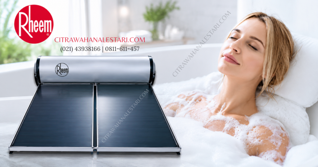 Service Rheem Water Heater